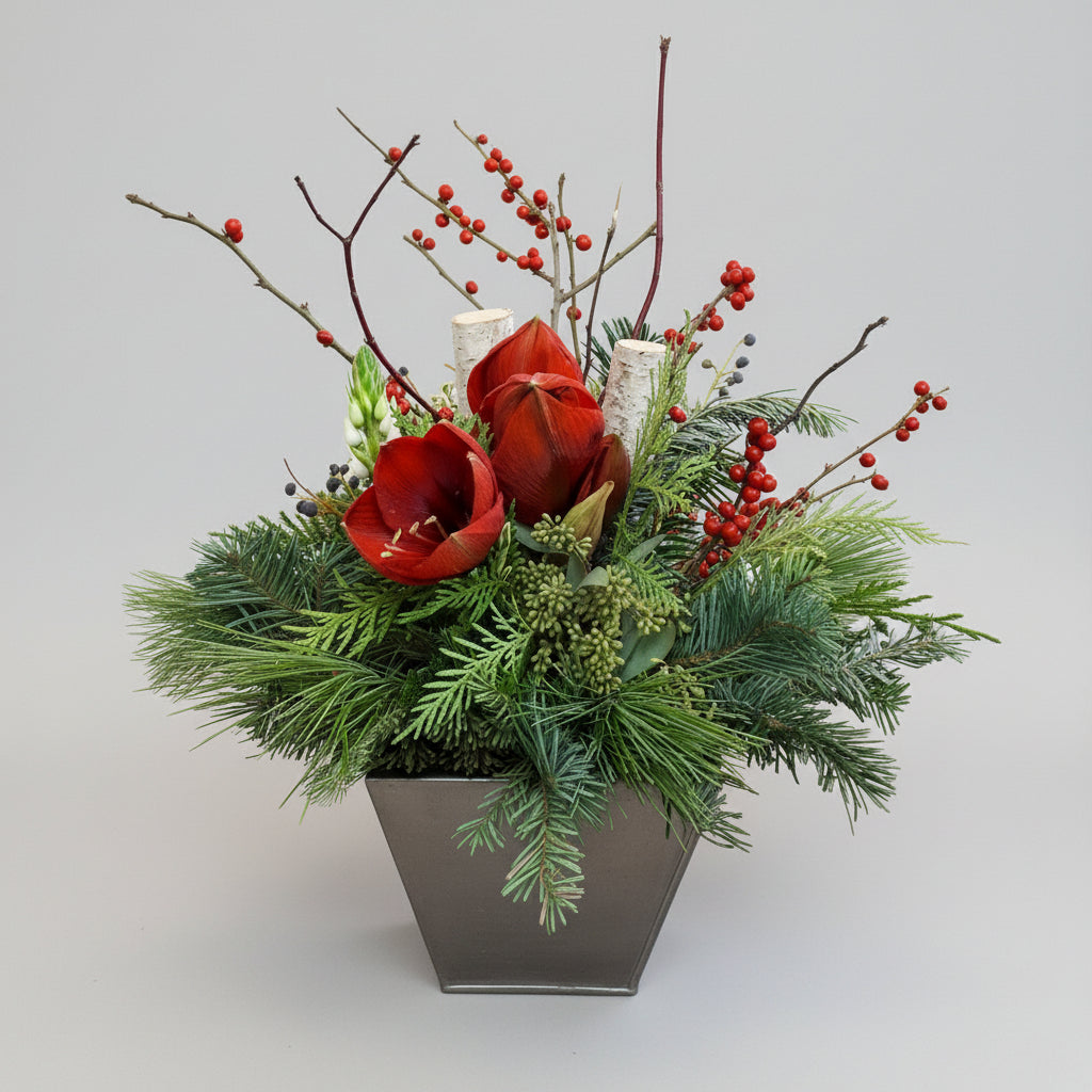Winter Amaryllis Arrangement - random colours