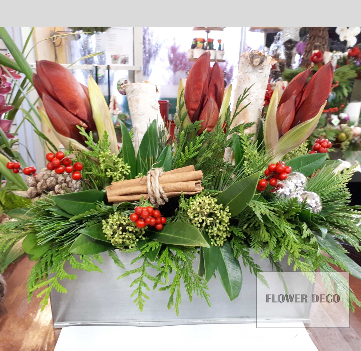 Amaryllis Centrepiece -random colours and container