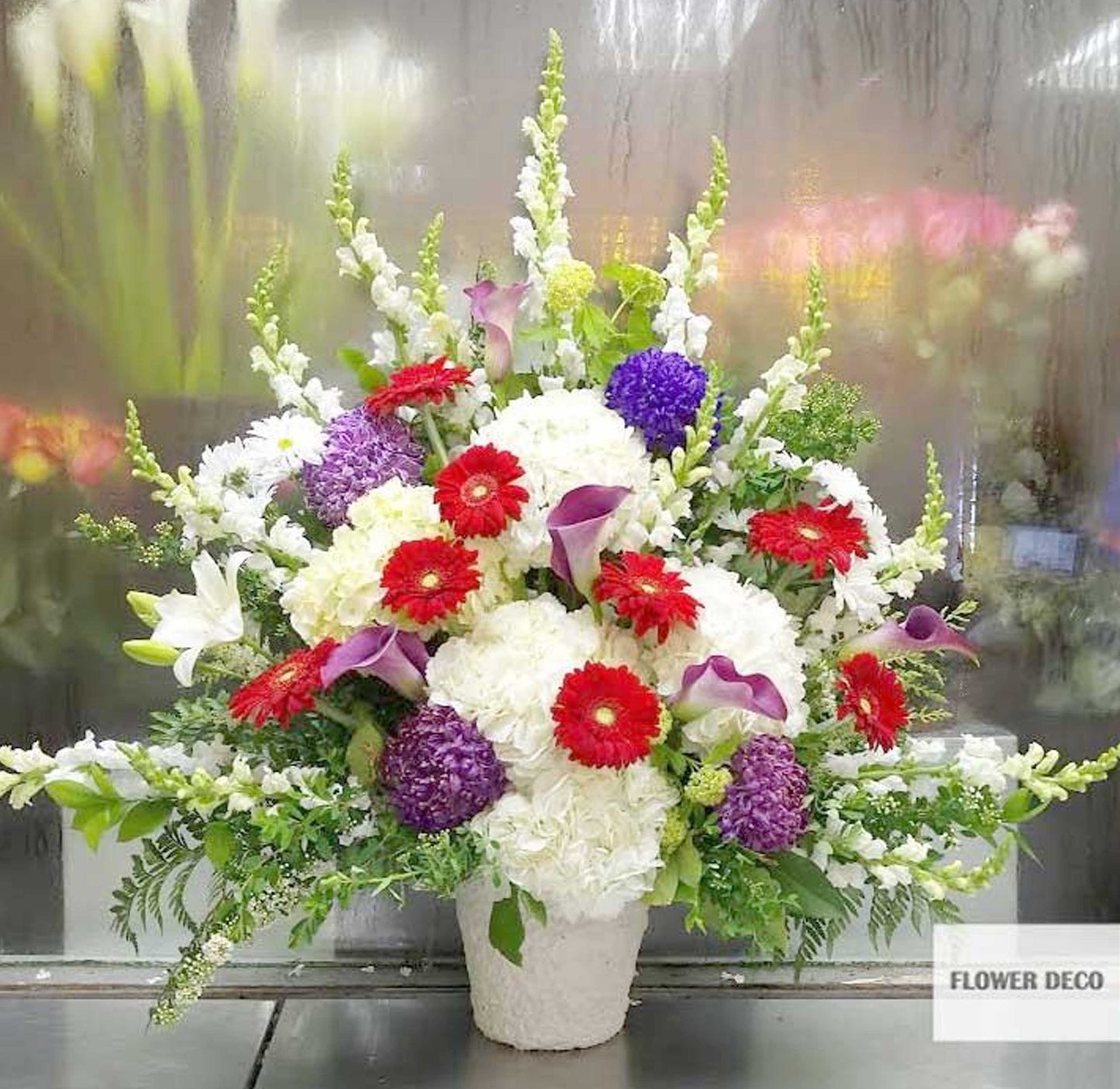 Dream Color Arrangement