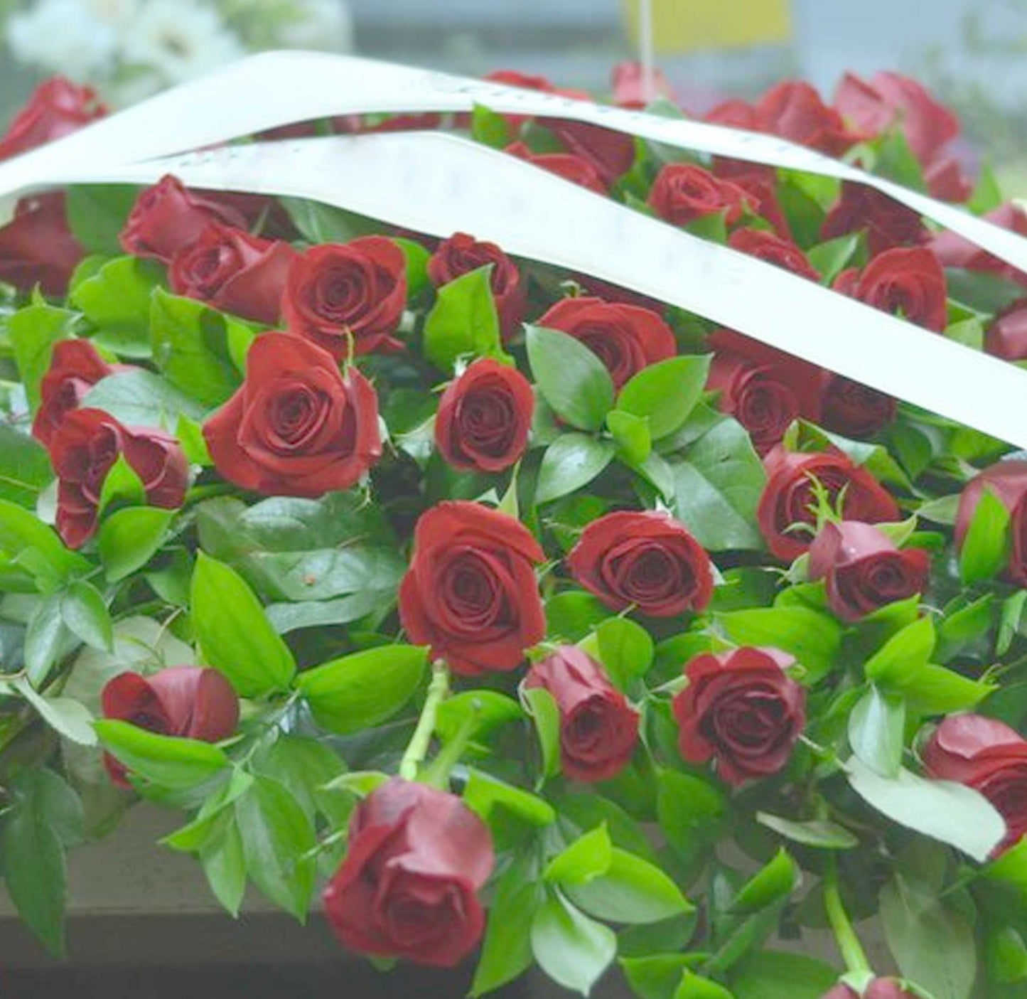 Casket Spray Red Rose - Open