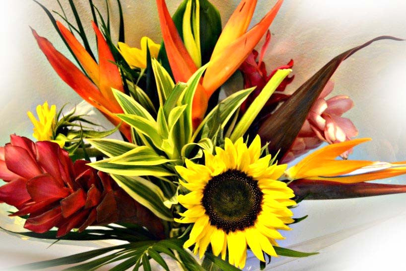 Famous Tropical Bouquet