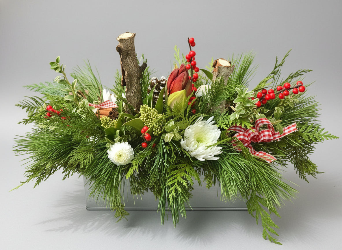 Winter Berry Arrangement (container and amaryllis' color may vary)