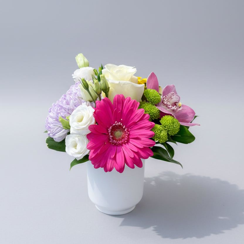 Colouful in White