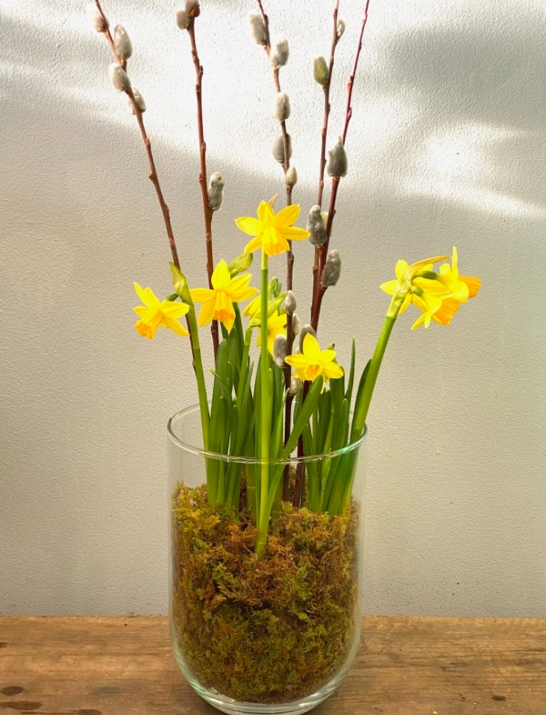 Daffodil growing pot