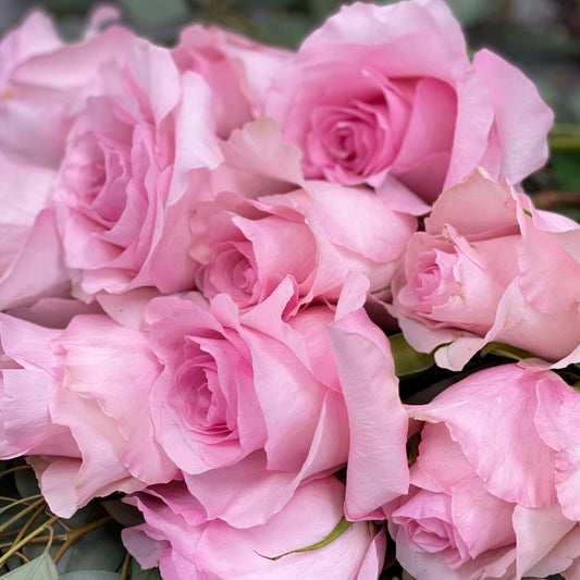 Dozen Pink Rose Bouquet
