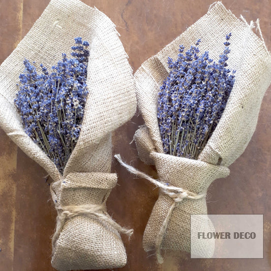 Dried Lavender Set of 2