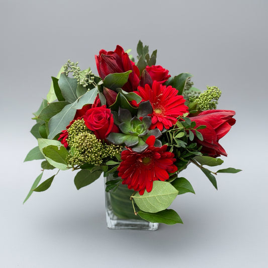 Wintertime Arrangement -random colour amaryllis
