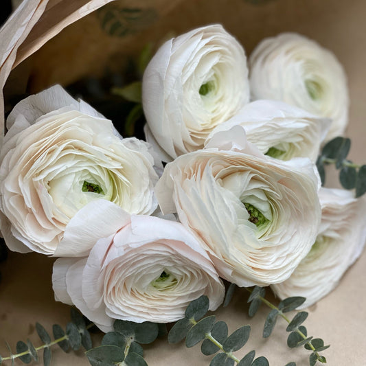 Ranunculus Bouquet