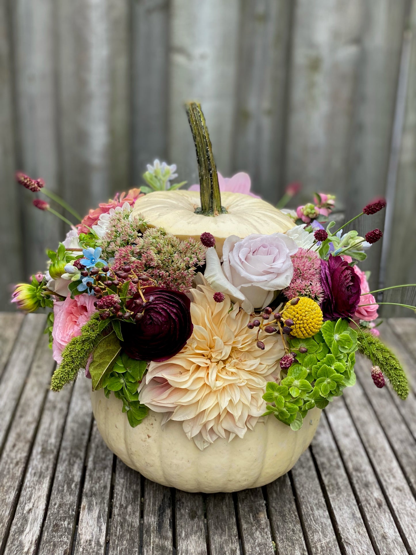 Pumpkin Magic-random flowers and colours