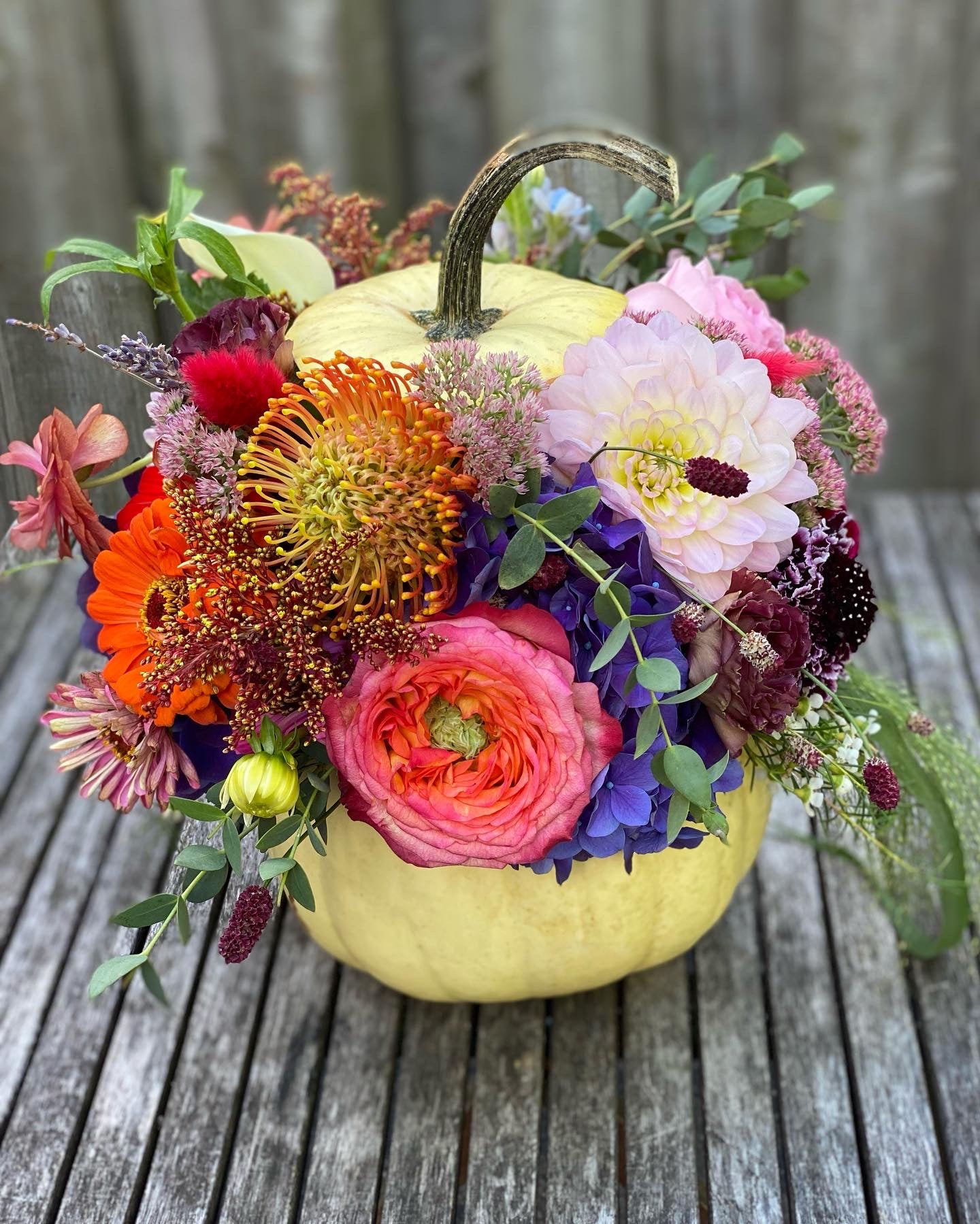 Pumpkin Magic-random flowers and colours