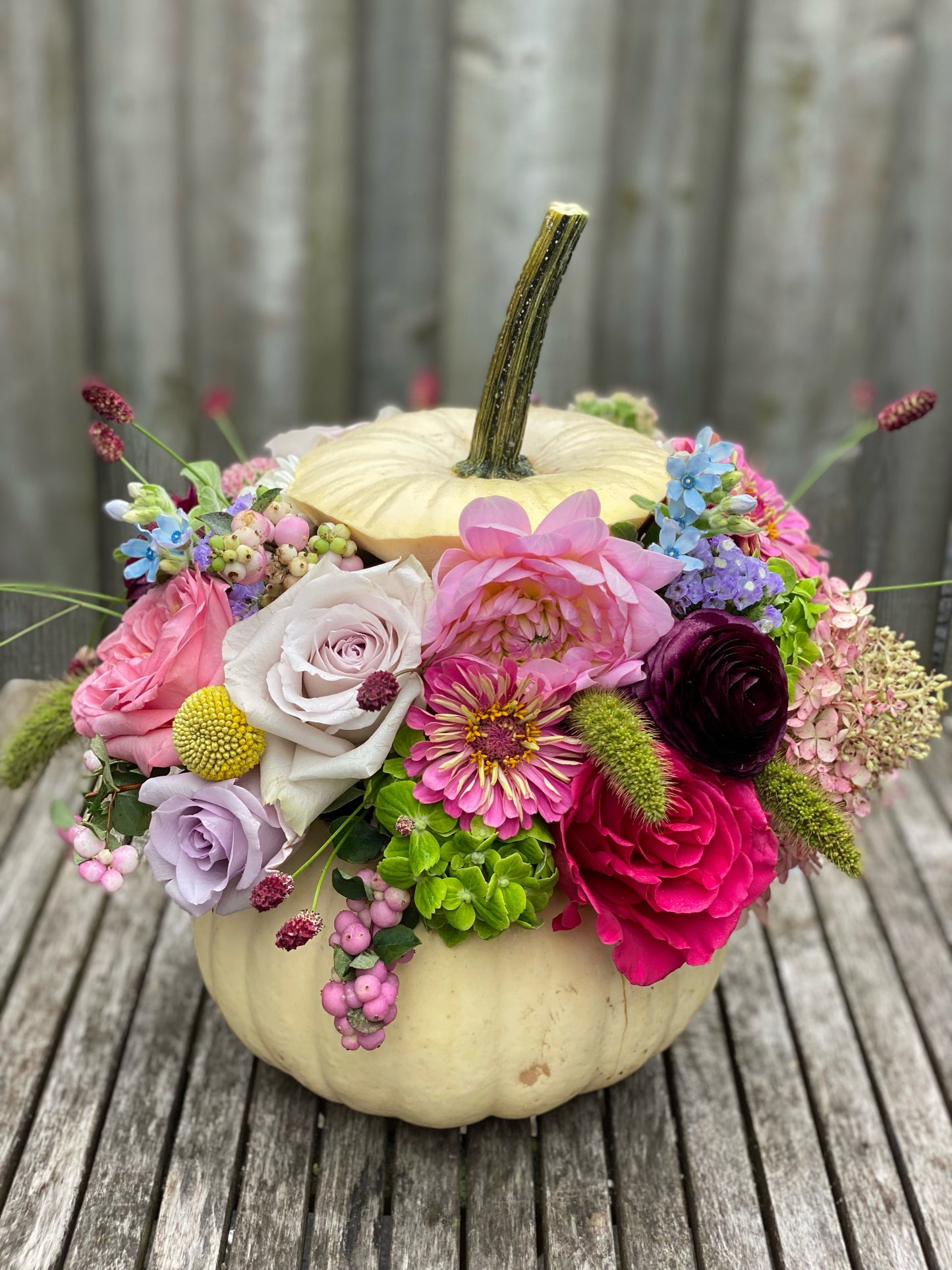 Pumpkin Magic-random flowers and colours